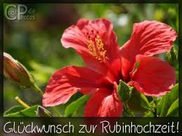 Gluckwunsche zur hochzeit kostenlos von zum 40 mann top glckwnsche. Coolphotos De Grusskarten Rubinhochzeit 40