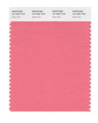 Buy Pantone Smart Swatch 16 1632 Shell Pink Soft Summer Color Palette Soft Summer Colors Pantone