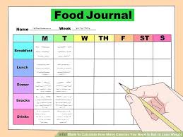 How To Calculate How Many Calories You Need To Eat To Lose