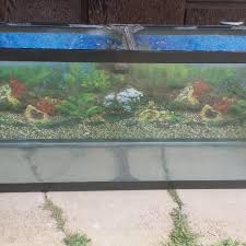 Best 100 Gallon Fish Tank For Sale In Alamosa Colorado For 2021