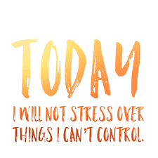 When we hear the famous words from the greatest masterminds in the world, we always get inspired and which gives the power to move on and bring success to your life. Grant Me The Serenity Sober Quotes Sobriety Quotes Stress Quotes
