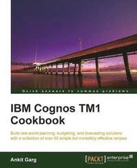 ibm cognos im1 developer's