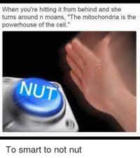 Mitochondria is the powerhouse of the cell. Mitochondria Is The Powerhouse Of The Cell Know Your Meme