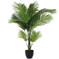 See more ideas about palm tree flowers, palm, coconut leaves. Shati Al Qurm Palm Tree Flower Delivery Areca Palm Tree Flower Delivery Shati Al Qurm Online Florist Shati Al Qurm