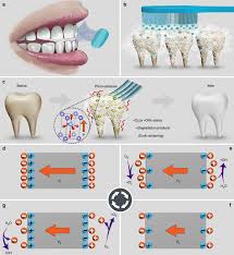 The teeth staining or pigmentation can be both intrinsic and extrinsic. Piezo Catalysis For Nondestructive Tooth Whitening Nature Communications