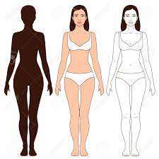 Download 32,249 women body silhouette stock illustrations, vectors & clipart for free or amazingly low rates! Woman Body Shape Outline And Silhouette Template Full Length Royalty Free Cliparts Vectors And Stock Illustration Image 58727189