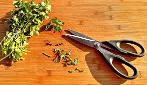 5 usos para tesouras de cozinha