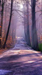 Winter Autumn Road Iphone Wallpaper Ipad Wallpaper Background Pictures