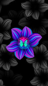 Maybe you would like to learn more about one of these? Purple Flower Black Background Wallpaper Moudreview
