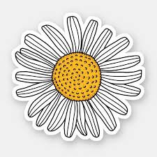 White Daisy Drawing Sticker Zazzle Com Daisy Drawing Daisy Flower Drawing Flower Drawing
