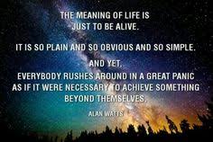 Alan Watts Quotes Anxiety. QuotesGram via Relatably.com