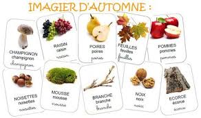 Automne Activite Automne Automne Theme Automne