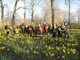 Publié le 10/03/2019 à 21:42 / mis à jour le 11/03/2019 à 15:34 s'abonner. Une Jonquille Pour Curie Club Saphir