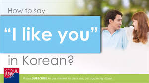 But it is mostly spoken. How To Say I Like You In Korean Learn Language Youtube