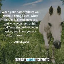 See more ideas about horse quotes, equestrian quotes, horse life. 45 Horseback Riding Quotes That Will Inspire You W Shareable Pictures Helpful Horse Hints