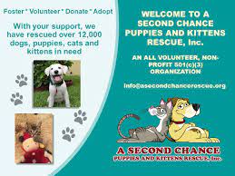 Organized by peggy adams animal rescue league and palm beach county animal care and control, the countdown 2 zero adoption event is a collaborative effort of over 20 local animal rescue organizations to save the lives of animals in palm beach county. Welcome To A Second Chance Puppies And Kittens Rescue