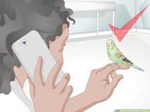 Image result