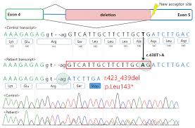 Learning korean is as easy as a, b, c's! Ann Lab Med Annals Of Laboratory Medicine 2234 3806 2234 3814 Korean Society For Laboratory Medicine 10 3343 Alm 2021 41 1 123 Alm 2021 41 1 123 Letter To The Editor Diagnostic Genetics A Novel Splice Variant C 438t A Of Apc Suspected By