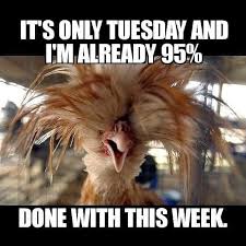 Work on a tuesday meme. Happy Tuesday Meme Work Viral Memes