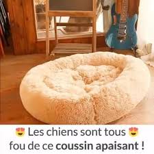 Epingle Sur Petits Chatons
