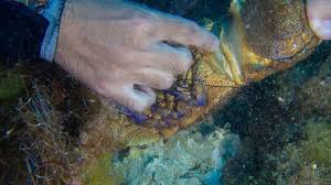 Sarah estanislau nua rebolando texted to let them inform