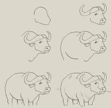 How To Draw Water Buffalo Water Drawing Buffalo Animal Animal Drawings