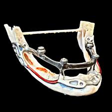 New Supervisor 🐈‍⬛ Miss Dottie is...