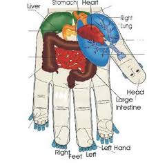 Su Jok Therapy Therapeuticalternatives