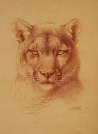 The uk only has one native species of cat: Drawing On Board 12x12 Weddingringideas Big Cats Art Animal Drawings Drawing People