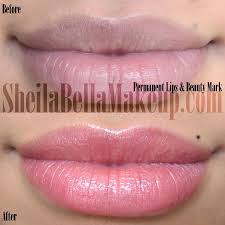 Permanent Lip Stain Lip Permanent Makeup Permanent Lipstick Permanent Makeup