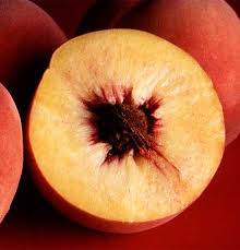 Image result for Psydrax fragrantissima