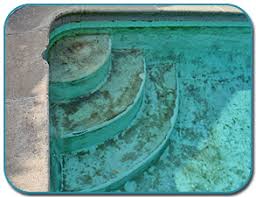 Discoloration or a bleached out look is common due to sun exposure or areas of heavy use many pool owners won't even think twice about hiring a professional who specializes in pool plaster repair. Stain Removal In A Plaster Pool Intheswim Pool Blog