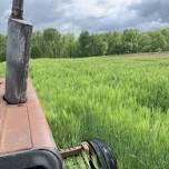 Loudoun Growers Collective June Meeting - Cover Crops
