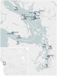 Maybe you would like to learn more about one of these? Salish Sea Human Foot Discoveries Wikipedia