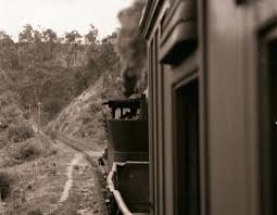 Ron Preston Collection