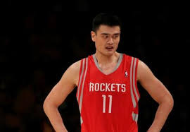 Yao (previously known as xiaod) began his professional career in september 2010 playing with dream alongside dd, xiao8, li and crystal. Yao Ming Net Worth Celebrity Net Worth