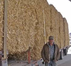 Check spelling or type a new query. Iseechange Rodman S Bales Of Cornstalks Kvnf Public Radio