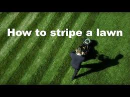 Next, mow a set of straight rows in alternating directions. How To Stripe A Lawn 6 Tips