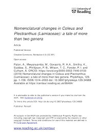 Image result for Equilabium petiolare