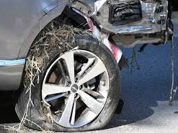 Woods was traveling at speeds between 83 and 87 miles per hour in a 45 m.p.h. Tiger Woods Is Stable Lucid After Car Crash In Los Angeles Golf Gulf News