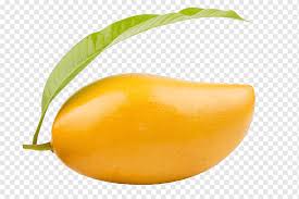 Choose from 58000+ fruit graphic resources and download in the form of png, eps, ai or psd. Ripe Mango Fruit Art Smoothie Juice Mango Milk Food Mango Graphy Natural Foods Leaf Fruit Png Pngwing