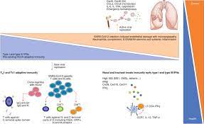 The Immuno Oncological Challenge Of Covid 19 Nature Cancer