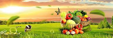 Fresh Fruits And Vegetables Banner Background Fresh Fruits And Vegetables Fruit Fruits And Vegetables