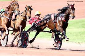 Cette ?preuve les chevaux n'ayant pas, dans les 12 mois pr?c?dant la course, ?t? Jockey Ou Driver Quelles Differences Notre Guide