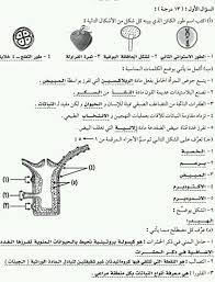 We did not find results for: Ø­Ù„ÙˆÙ„ Ø§Ù…ØªØ­Ø§Ù† Ø§Ù„Ø£Ø­ÙŠØ§Ø¡ Ø§Ù„Ø´Ù‡Ø§Ø¯Ø© Ø§Ù„Ø³ÙˆØ¯Ø§Ù†ÙŠØ© Ù…Ø±Ø§Ø³ 2019
