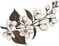 Jasmine Flower Tattoo Jasmine Flower Tattoos Flower Drawing Jasmine Tattoo