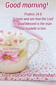 Good Morning Have A Peaceful Wednesday Good Morning Wednesday Wednesday Quotes Good Morning Quotes Ha Blessed Wednesday Good Morning Good Morning Inspiration
