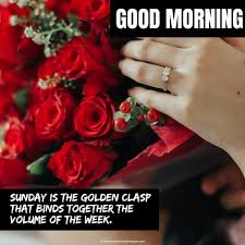 Maybe you would like to learn more about one of these? 110 Latest Good Morning Sunday Images Photos Pic