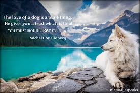 According to jeffrey kluger, author of the sibling effect, after approximately six years, your stepsiblings can become as close to you as biological ones. Sunday Vibes Today We Celebrate National Dog Day By Arliespeaks Media Llc Medium