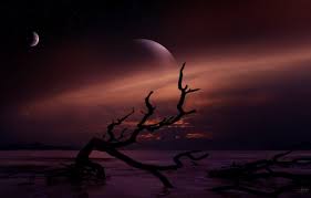 We did not find results for: Kitten In The Dark 4k Hd Desktop Wallpaper For 4k 4k Ultra Hd Desktop 1203x744 Wallpaper Teahub Io